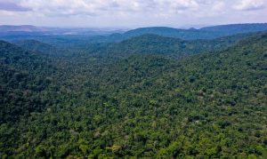 vice-presidente_da_republica_hamilton_mourao_carajas_missoes_diplomaticas_a_amazonia_oriental0809210163
