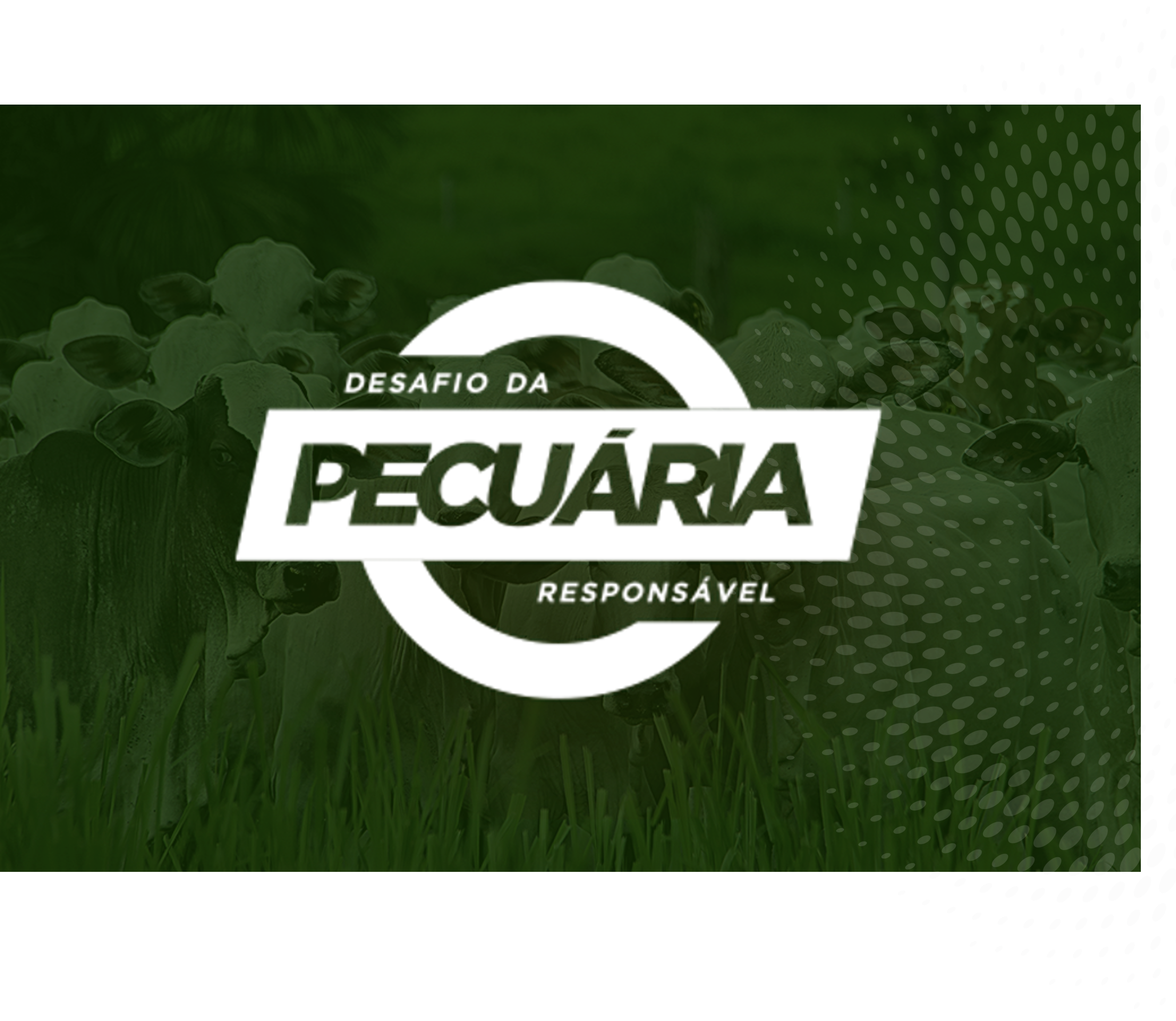 PHIBRO-2-Desafio-da-Pecuaria-Responsavel-congrega-130-empresas-e-entidades-apoiadoras-e-premiara-projetos-sustentaveis-para-as-cadeias-de-corte-e-leite-IMAGEM-DIVULGACAO