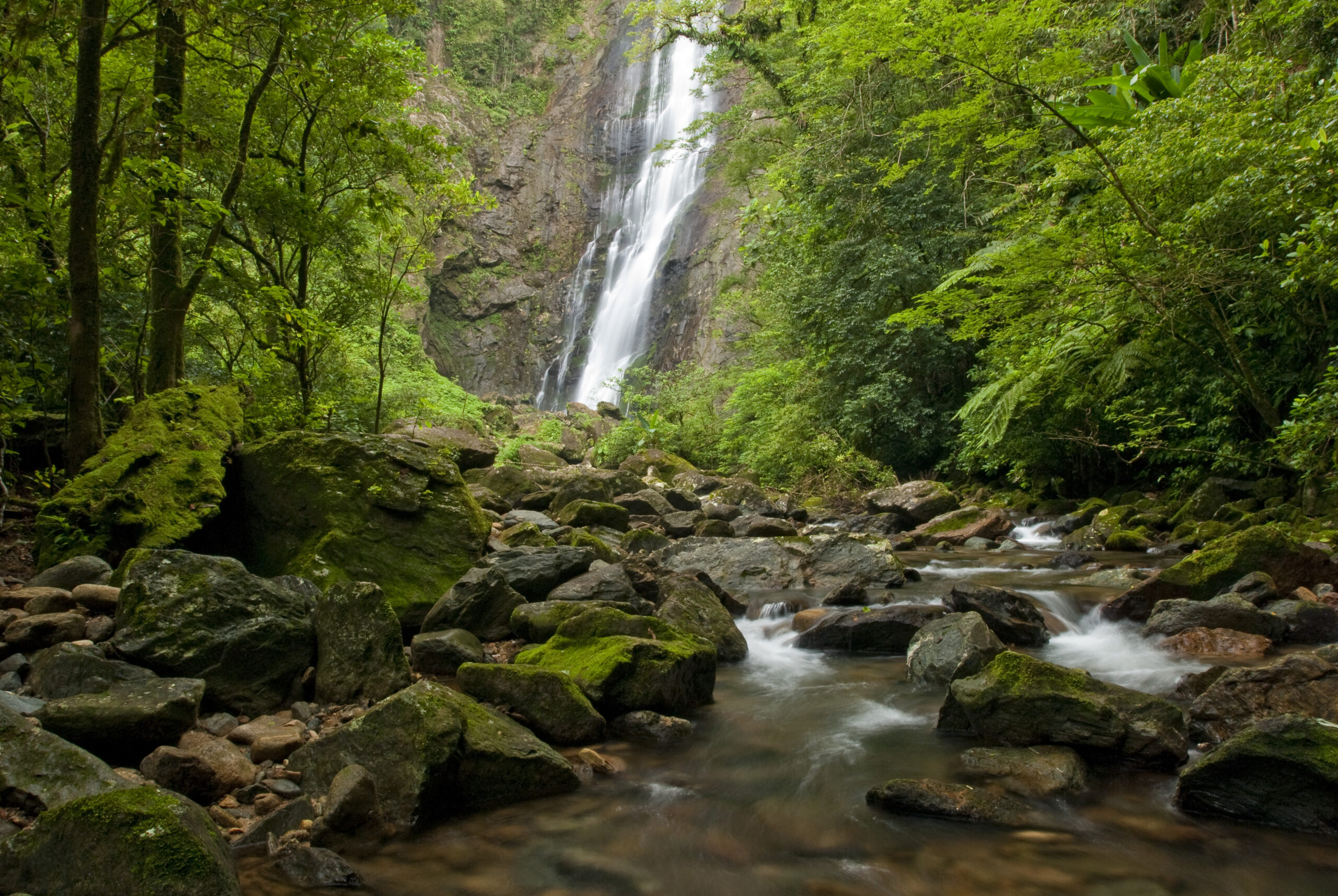 Reserva Natural Salto Morato, Guaraquecaba, Parana, Brasil, foto de Ze Paiva, Vista Imagens.