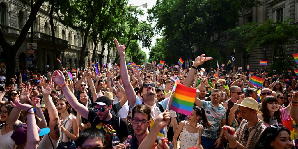 2024-06-22t155526z_1_lynxmpek5l050_rtroptp_4_lgbtq-pride-hungary.jpg