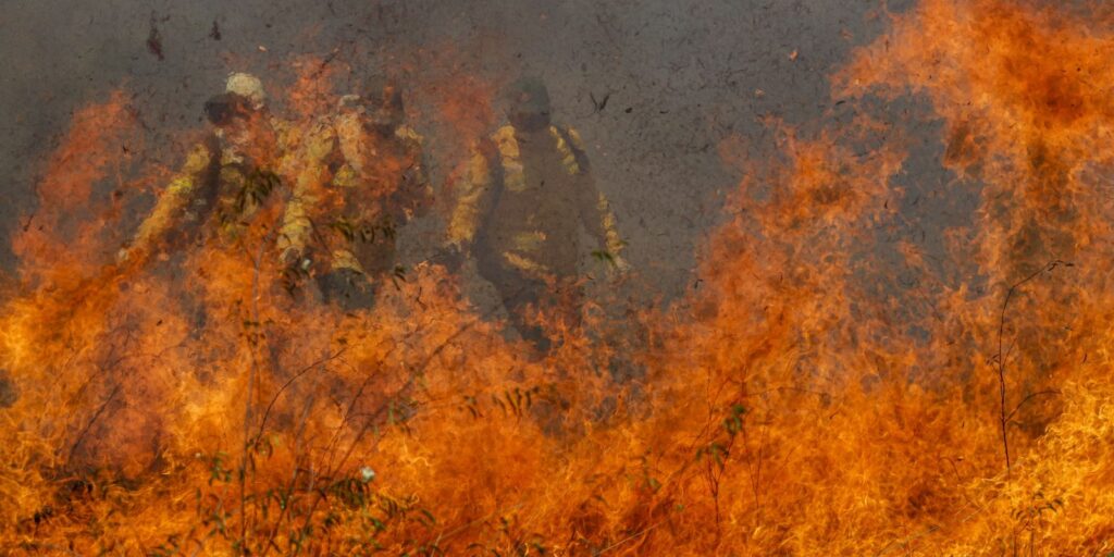 36_retro_2023_incendios_castigam_o_pantanal.jpg