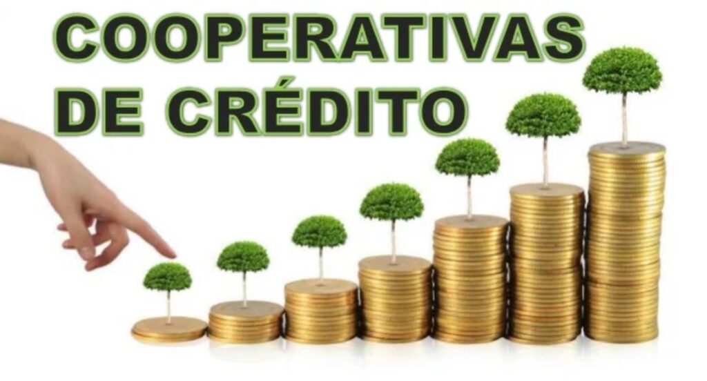 cooperativa de credito