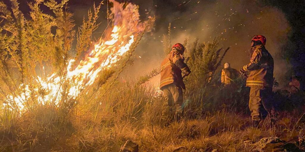 incendio_parque_itatiaia_2_160624.jpg