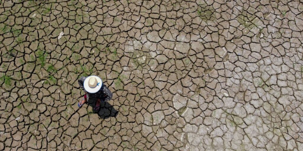 1721840255_2023-10-21t214643z_1806785229_rc2zw3avrijk_rtrmadp_3_brazil-amazon-drought.jpg