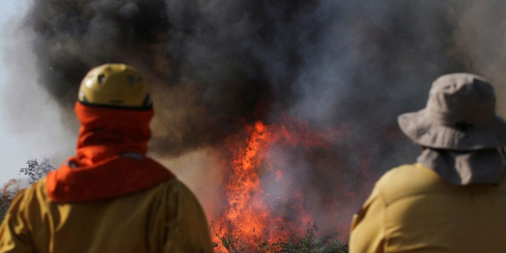 2024-08-01t153438z_1_lynxmpek701yw_rtroptp_4_bolivia-wildfires.jpg