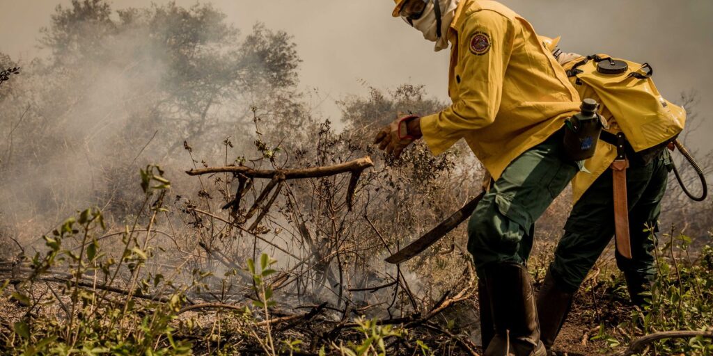 meio_ambiente_ricardo_salles_combate_ao_incendio_no_pantanal2409201314.jpg