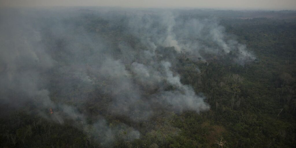 2024-03-03t010236z_14034173_rc2ud6allzw1_rtrmadp_3_brazil-fires.jpg