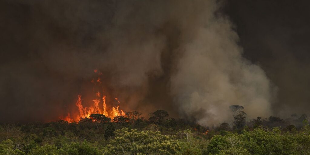 incendio-parque-nacionall_mcamgo_abr_16092024-7.jpg