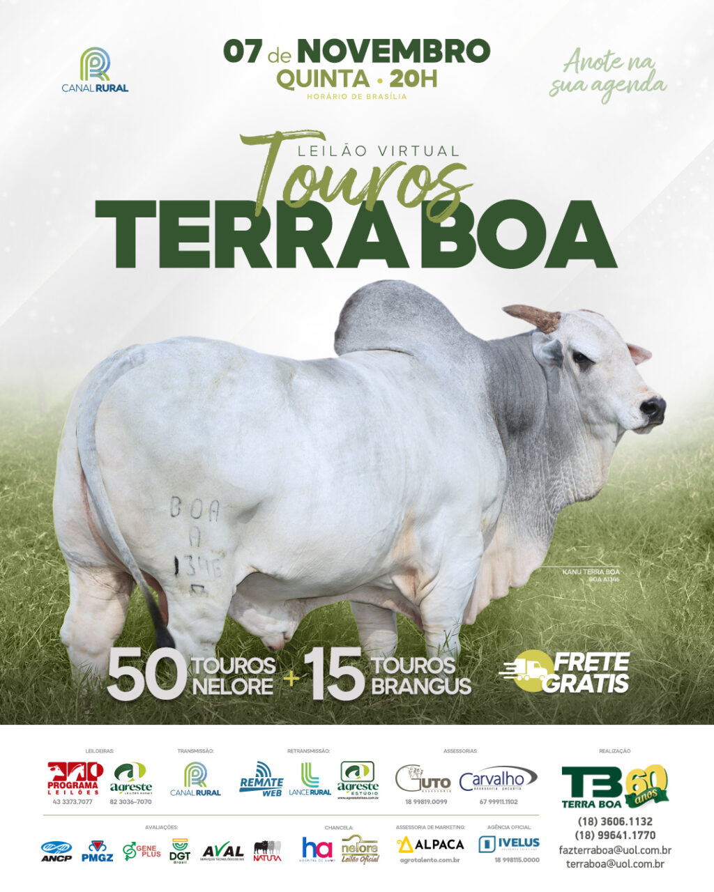 ACNB-Fazenda-Terra-Boa-realiza-leilao-com-oferta-de-65-touros-Nelore-foto-divulgacao