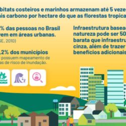 COP29: Climatologista Carlos Nobre exige trilhões em fundos climáticos e emissões zero até 2040